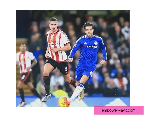 五大联赛最新赛果解析与精彩进球回顾