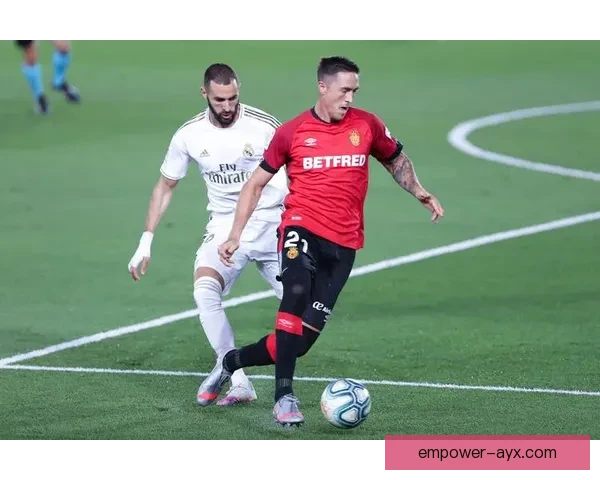 马略卡俱乐部精彩活动全攻略与会员专属体验分享
